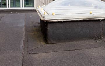 disadvantages of Rhosdylluan flat roofs