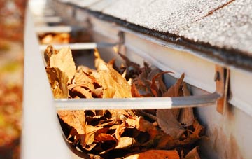 Rhosdylluan gutter cleaning companies