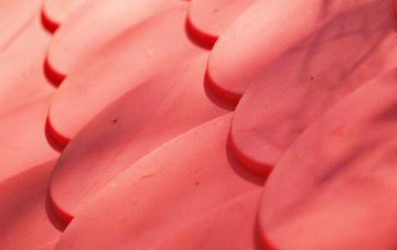 Rhosdylluan plastic roof costs