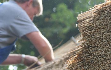 professional Rhosdylluan thatchers