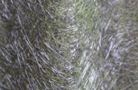 Rhosdylluan fibreglass roof work